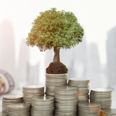 Quanto uma Pequena Empresa Deve Investir em Marketing